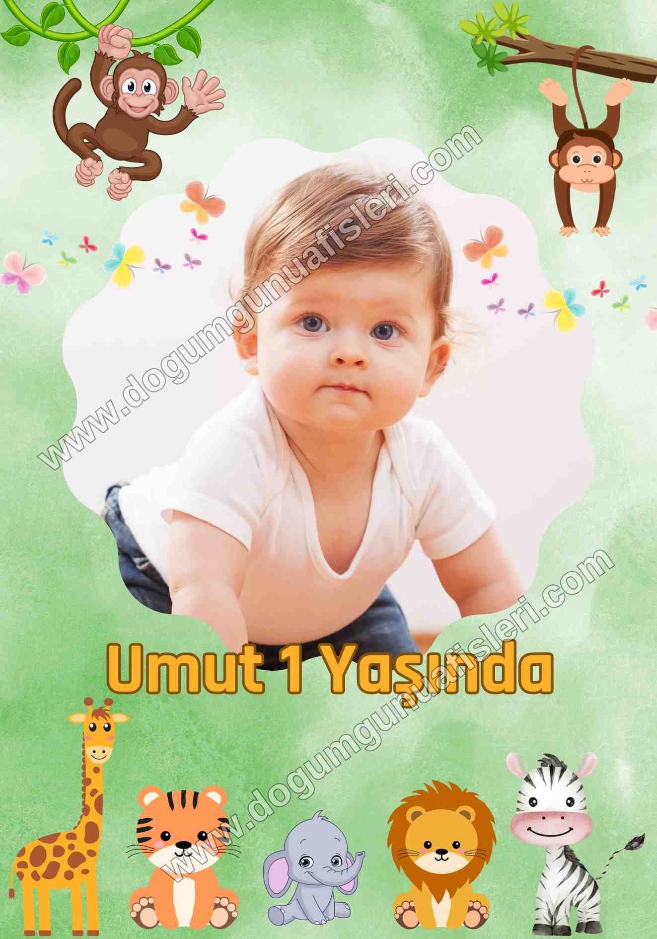 Safari Doğum Günü Panosu