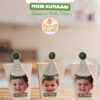 Mısır Kutusu - Okaliptus-Bej Tema
